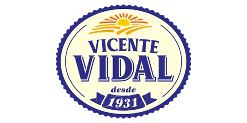vicente vidal